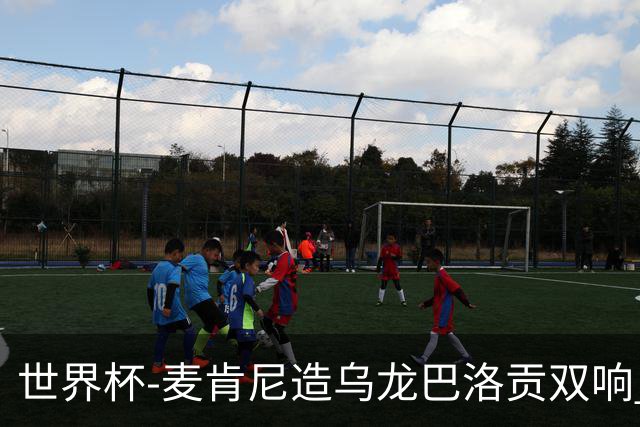 世界杯-麦肯尼造乌龙巴洛贡双响 半场美国3-0巴拉圭