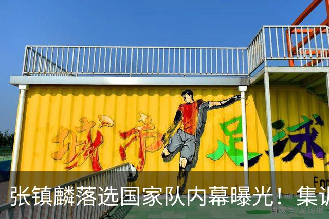 张镇麟落选国家队内幕曝光！集训前夕请假了：郭士强没有放弃他？
